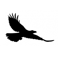 19 Ravens PR